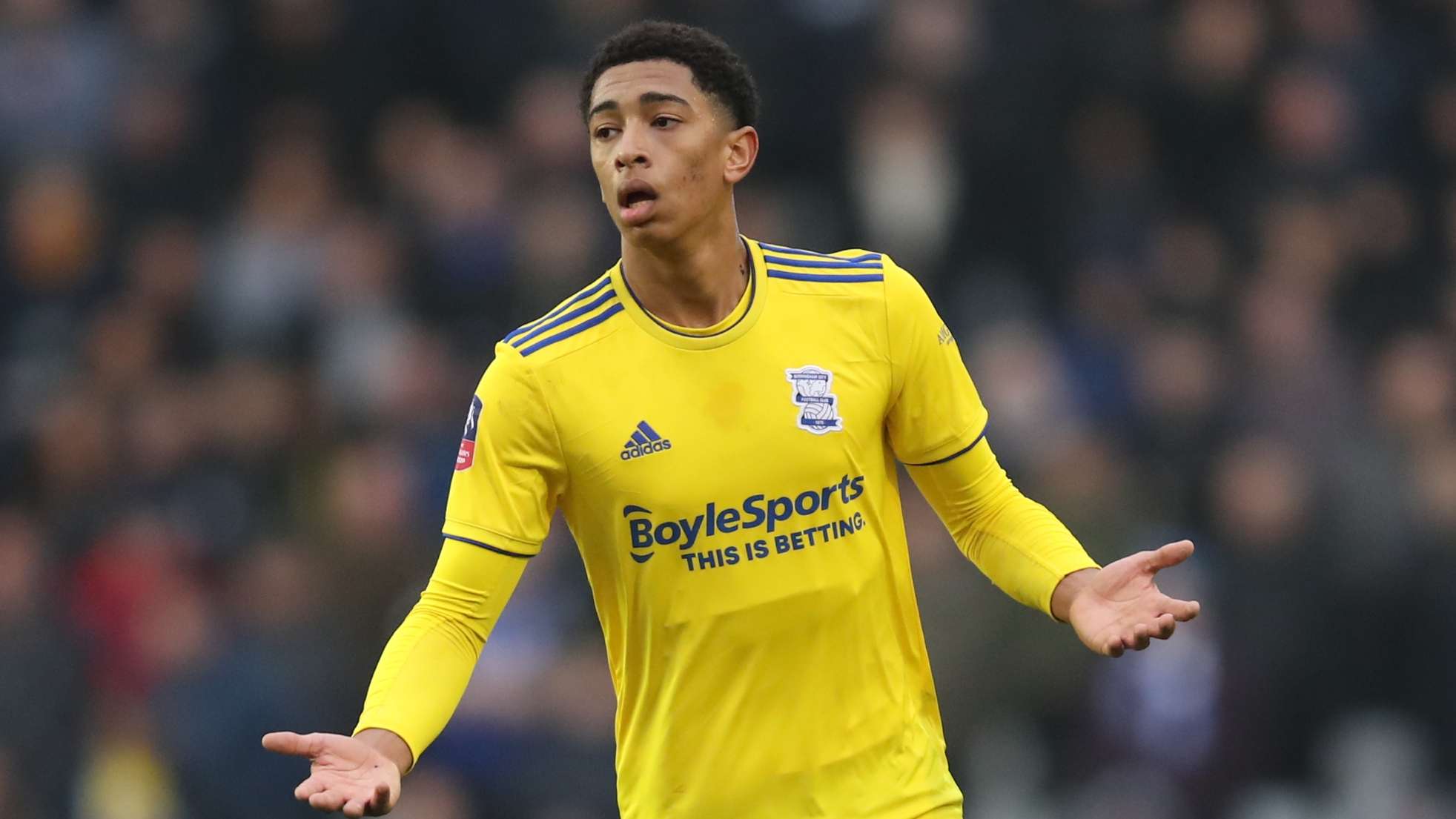 欧洲篮球的 欧洲篮球的