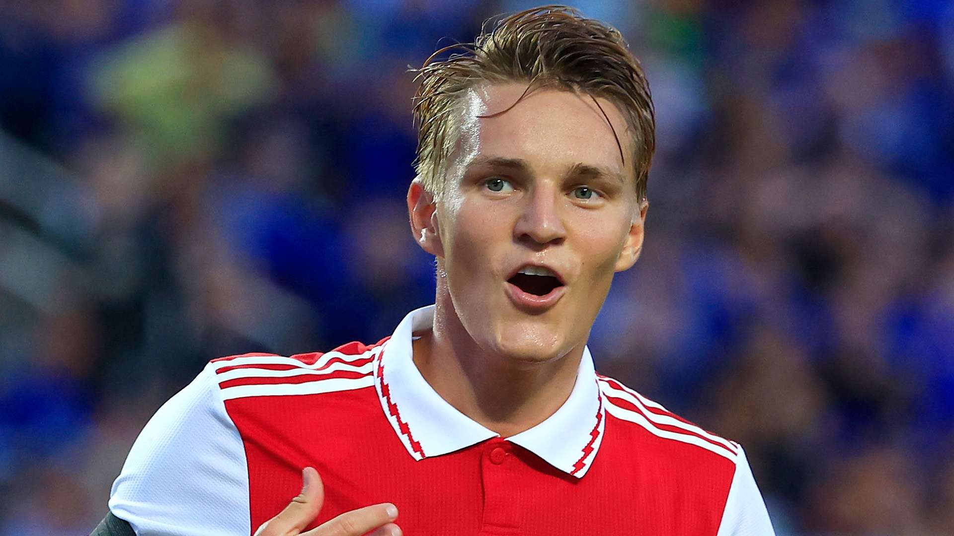 这样的合同 这样的合同